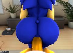 Sonic and Tails Cheerful Anal